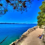 Vedrana Zadar