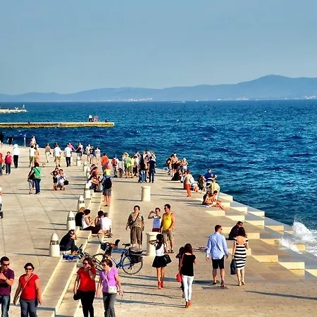 Vedrana Zadar