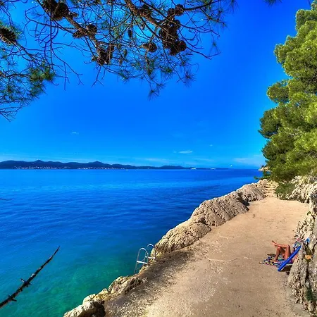 Vedrana Zadar